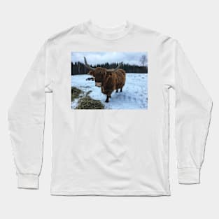 Scottish Highland Cattle Cow 2193 Long Sleeve T-Shirt